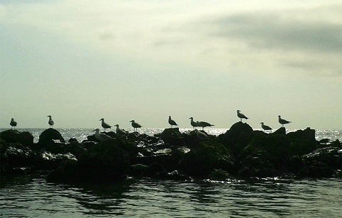 incontri di pratica mindfulness Como
